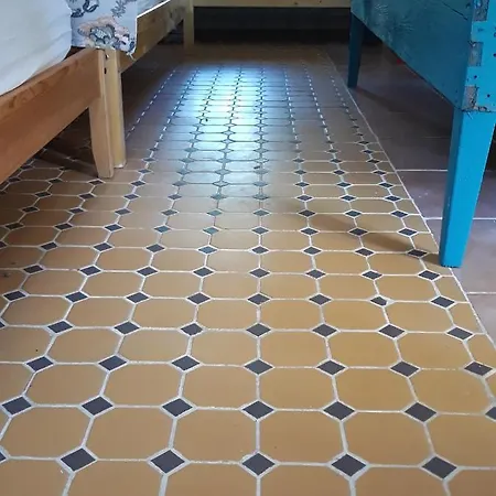 Danube Delta & Hostel