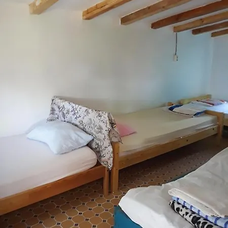 Danube Delta & Hostel *